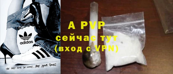 шишки Армянск