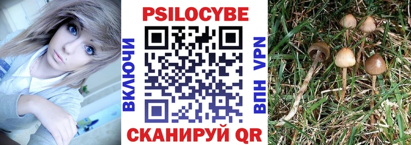 магазин продажи наркотиков  Видное  Галлюциногенные грибы мухоморы 